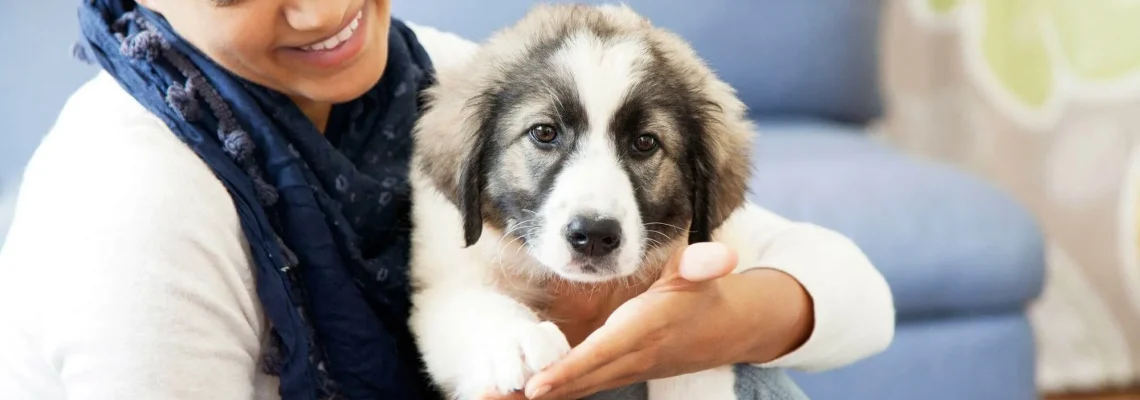 A Day in the Life of a Pet Care Specialist