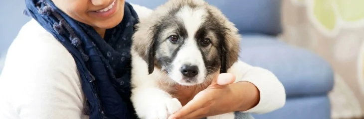 A Day in the Life of a Pet Care Specialist